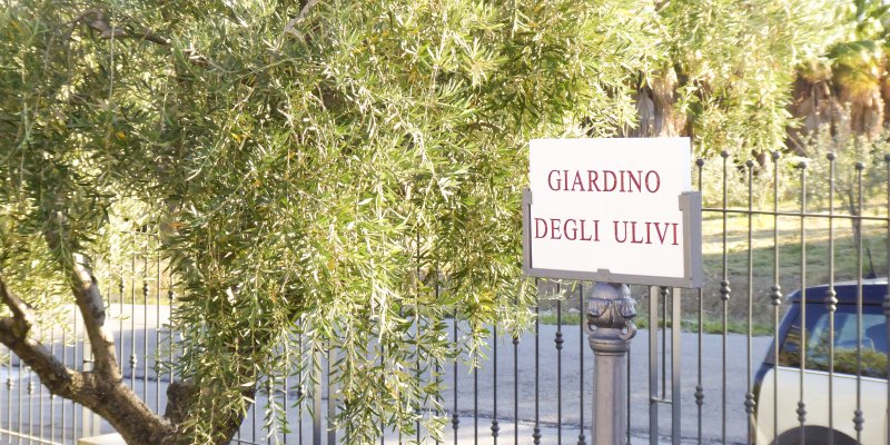 Il Giardino degli Ulivi